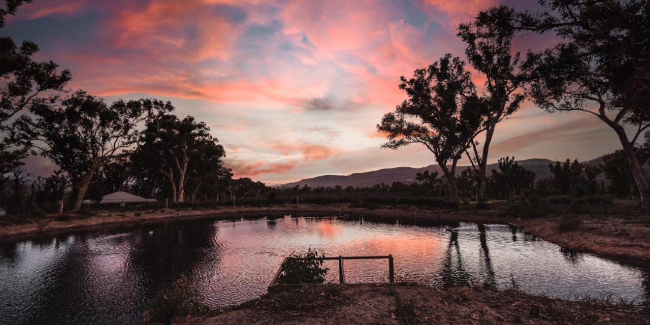 Banksia Park Cottages แคงการูวัลเลย์ ภายนอก รูปภาพ